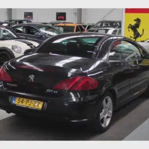 Peugeot 307 CC 2.0-16V NAP,