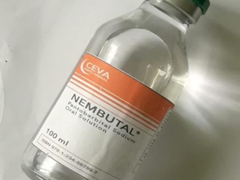Buy Nembutal, Adderall, Ketamine ( WhatsApp: +33605811506 )