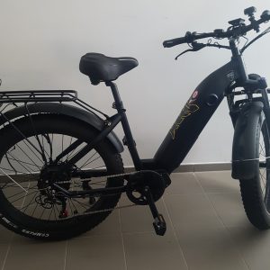 Fatbike K8 Unieke Custom Ebike – 48V – 250W – 25 km/h