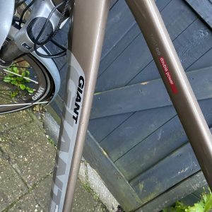 Giant twin elektrische fiets heren