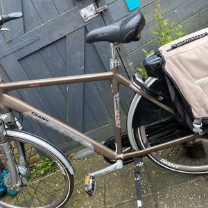 Giant twin elektrische fiets heren