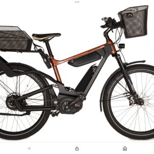 Fietsen Gezocht van : Brompton + Riese Birdy Müller