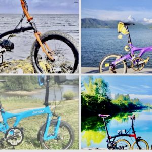 Riese Birdy Müller Fietsen en Brompton Fietsen Gevraagd